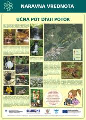 Divji Potok 3